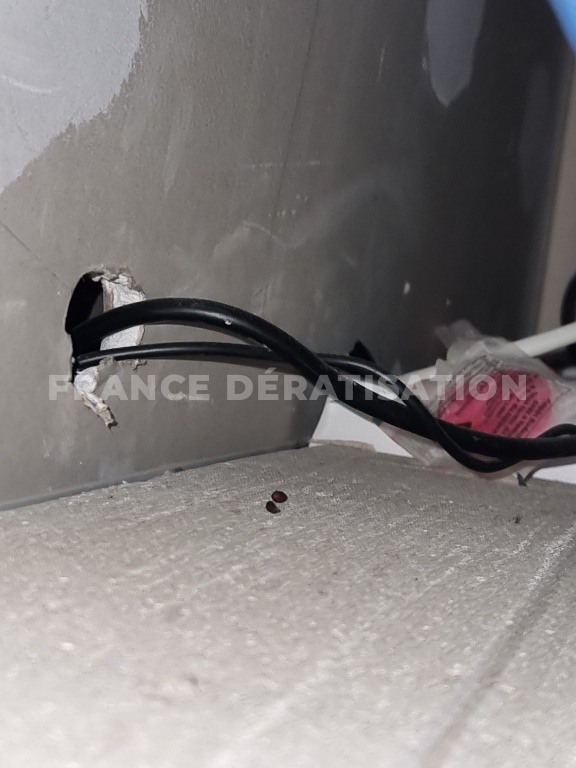 Câbles noirs sortant d'un trou de cloison, petits points sombres sur le rebord
