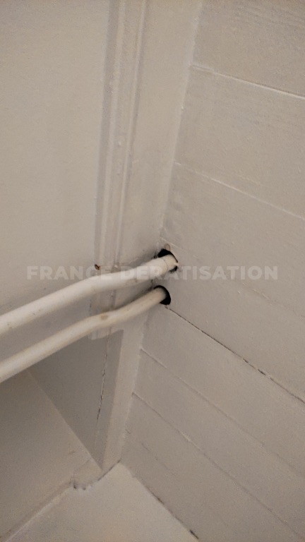 Deux gaines blanches sortant d'un trou dans l'angle d'un mur