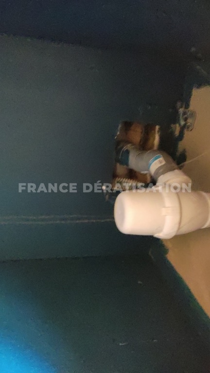Cloison verte percée laissant passer un coude de tuyau crème et du cuivre