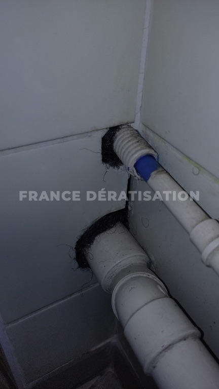 Passage de tuyaux blancs dans une cloison, mousse noire dégradée autour du trou