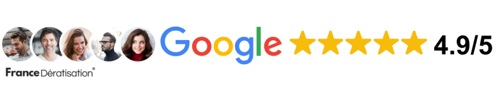 La meilleure entreprise de deratisation