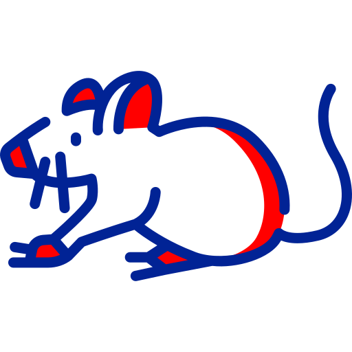 souris lyon